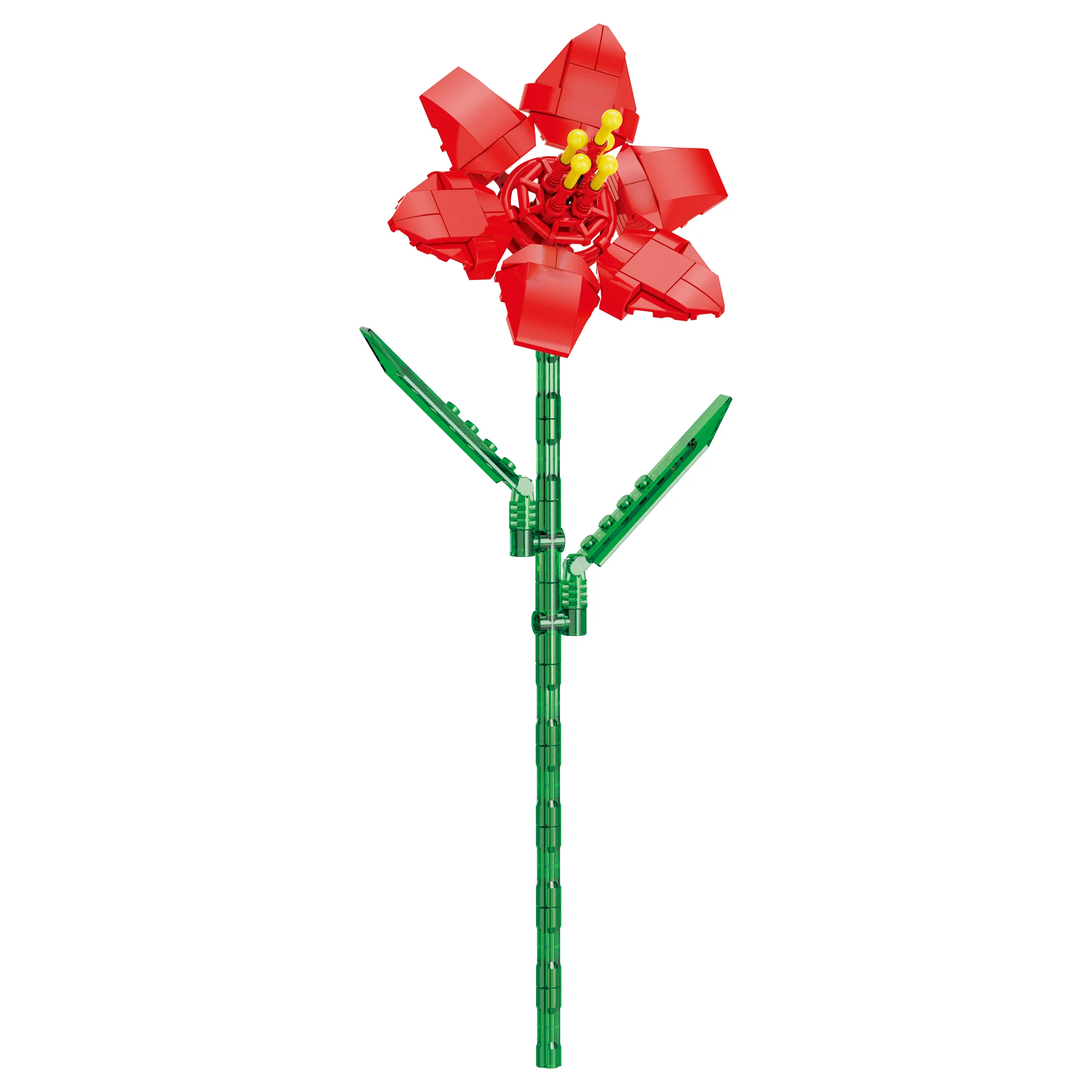 Amaryllis - Image 3