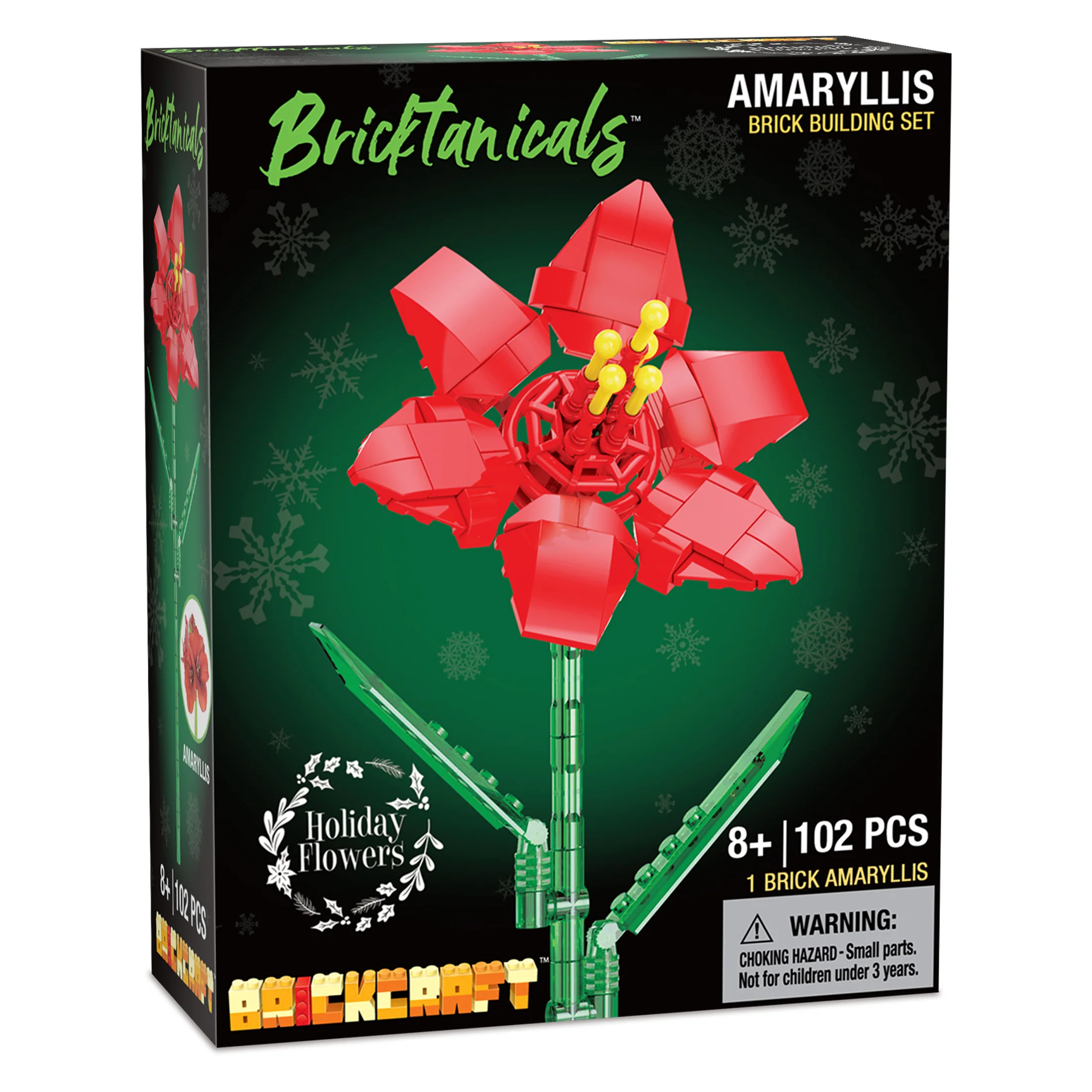 Amaryllis - Image 7
