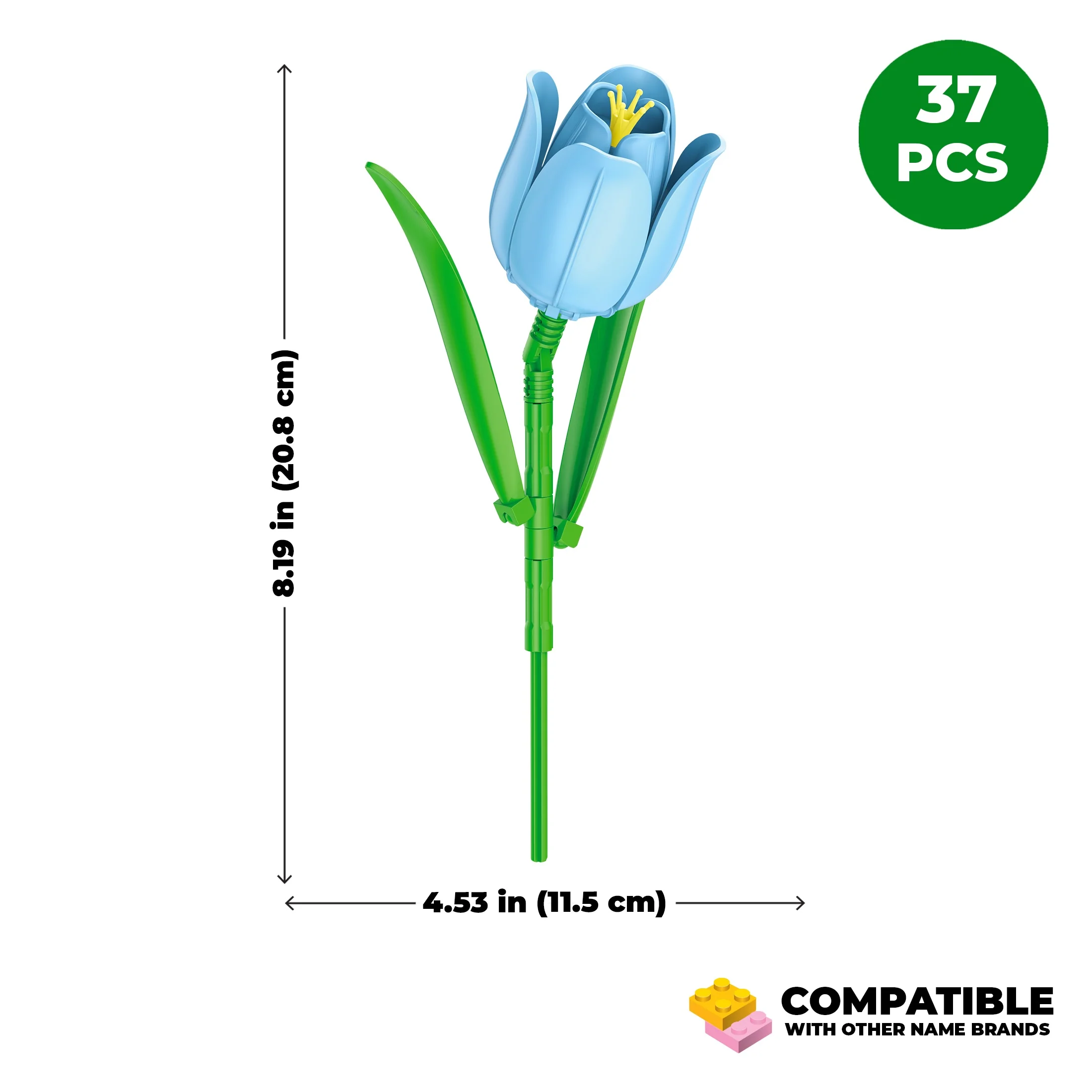 Blue Tulip - Image 4