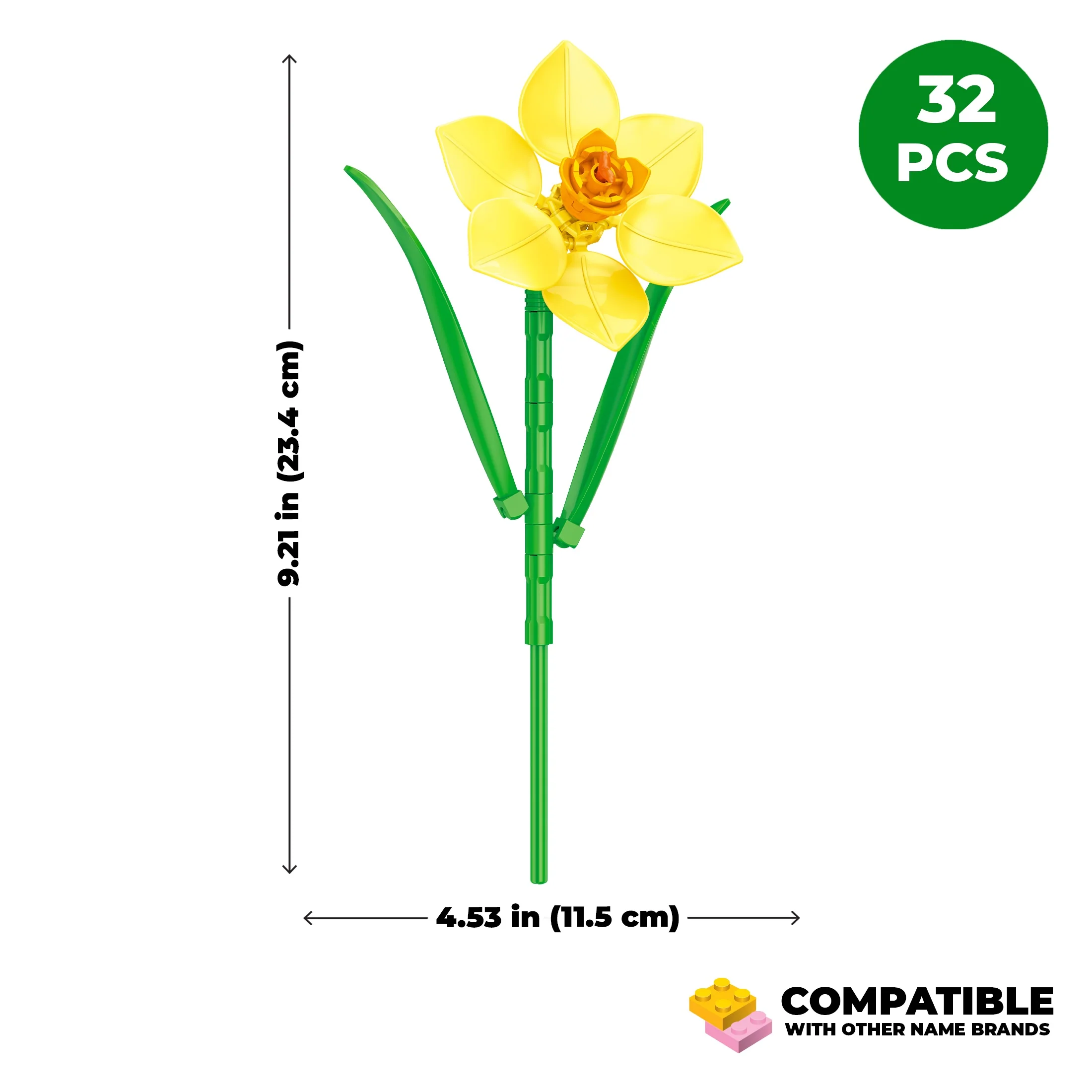 Daffodil - Image 4