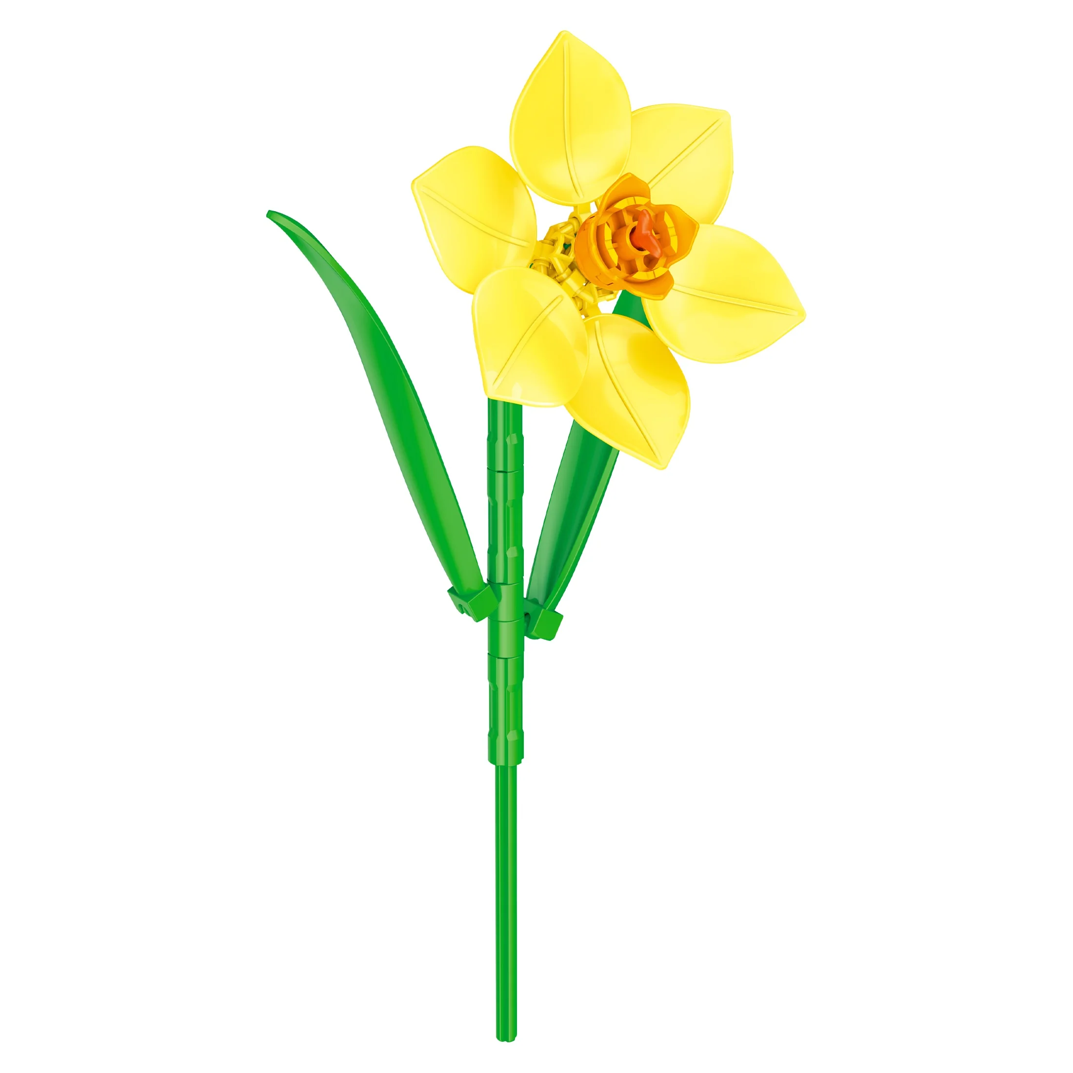 Daffodil - Image 5