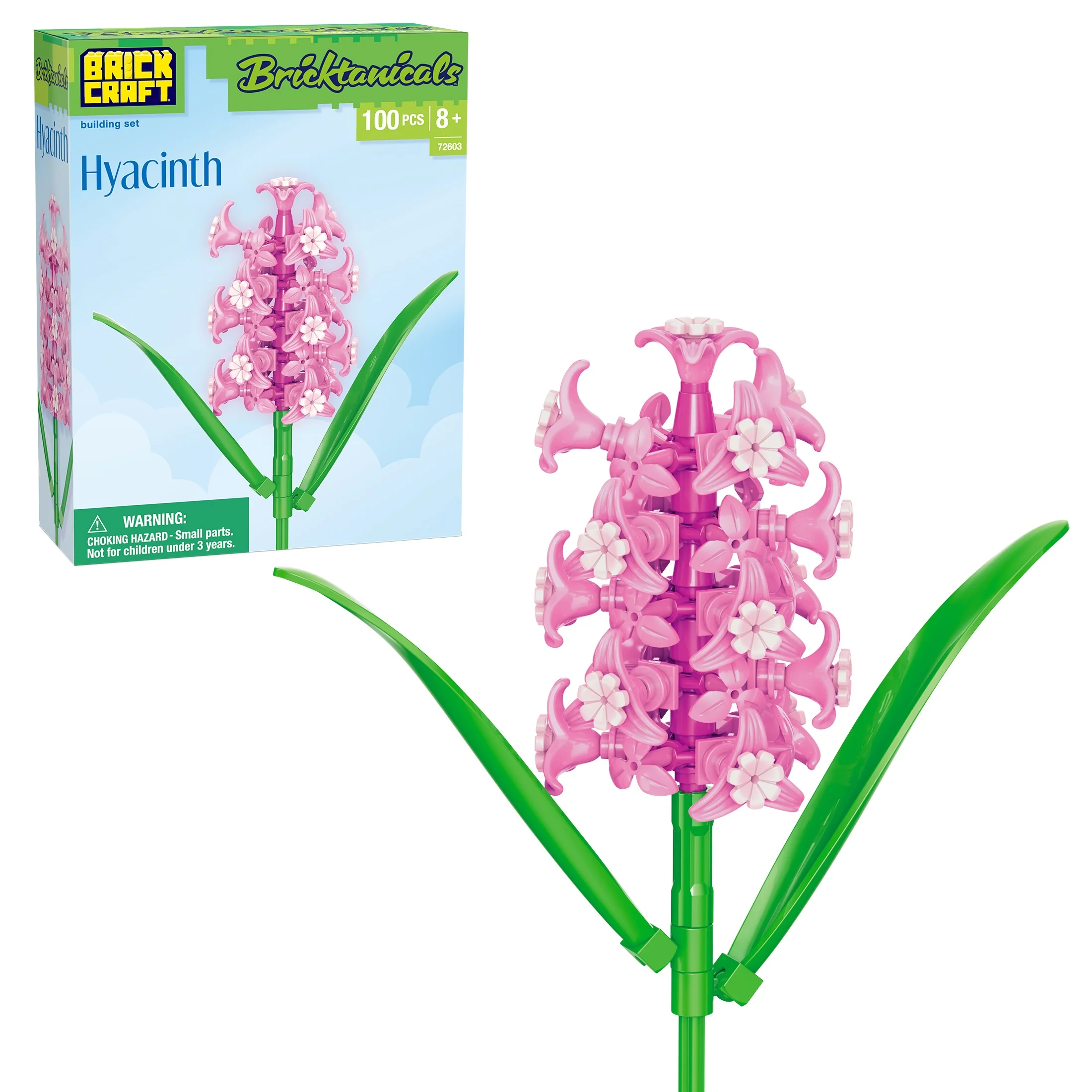 Hyacinth - Image 2