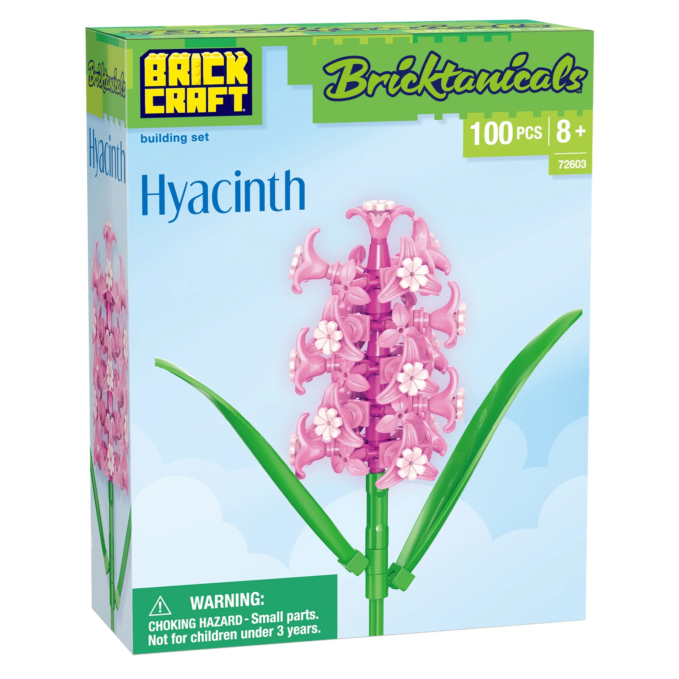 Hyacinth - Image 6