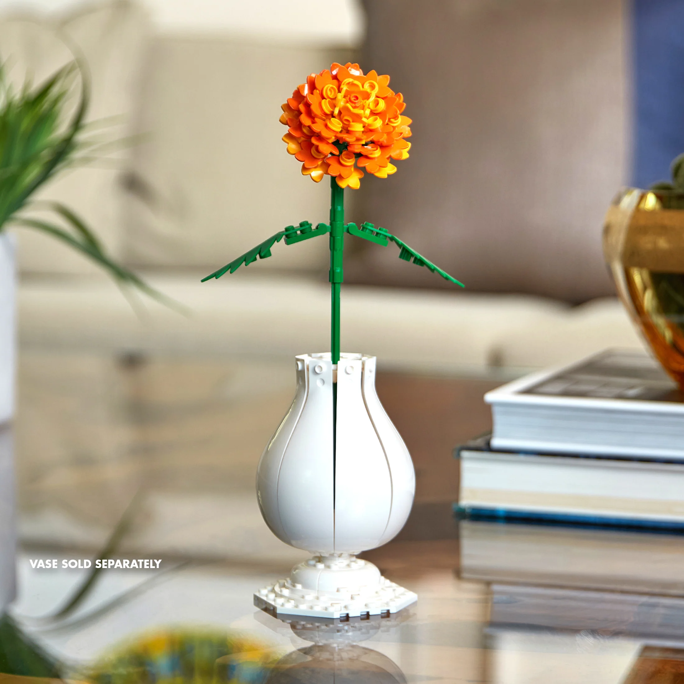Marigold - Image 6
