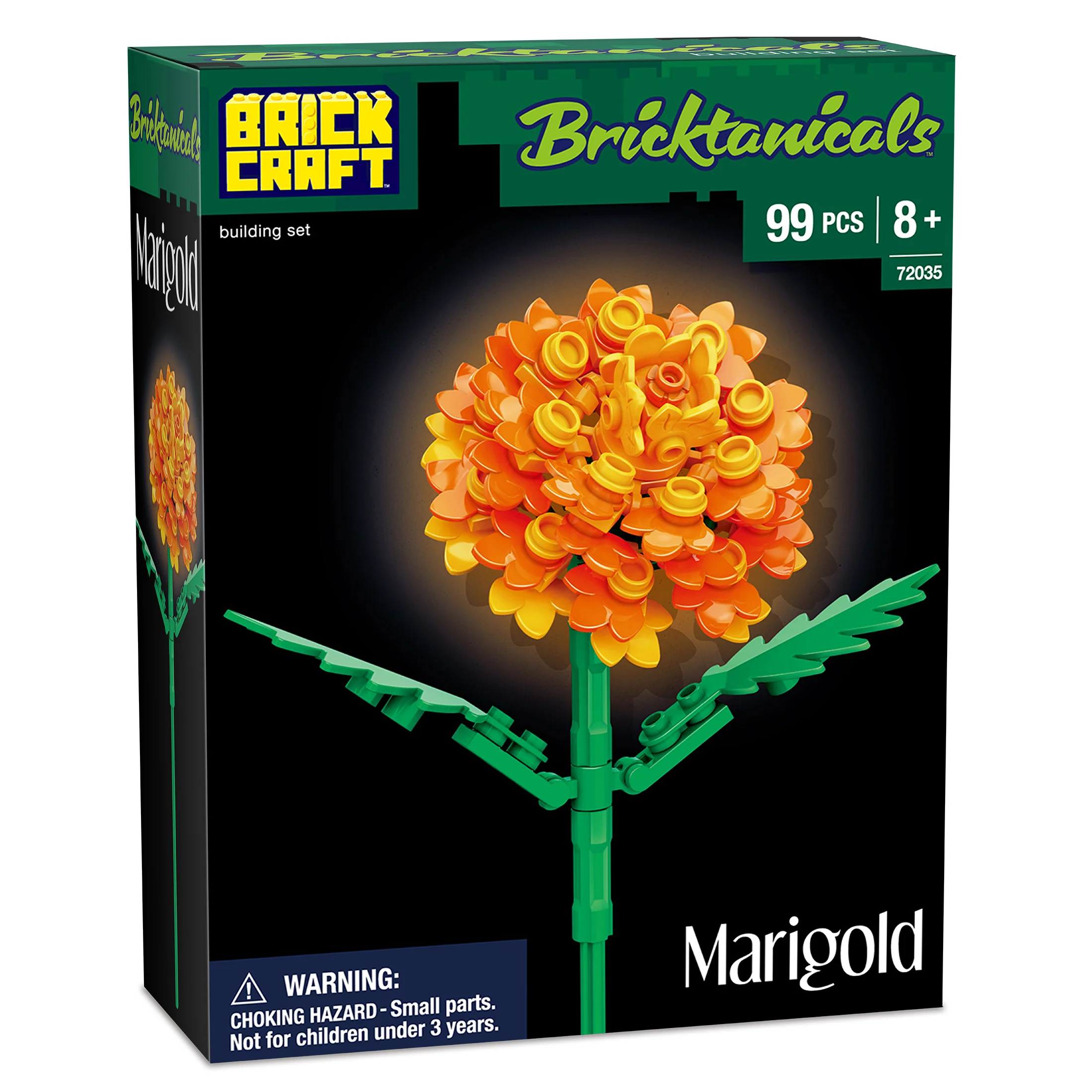 Marigold - Image 8