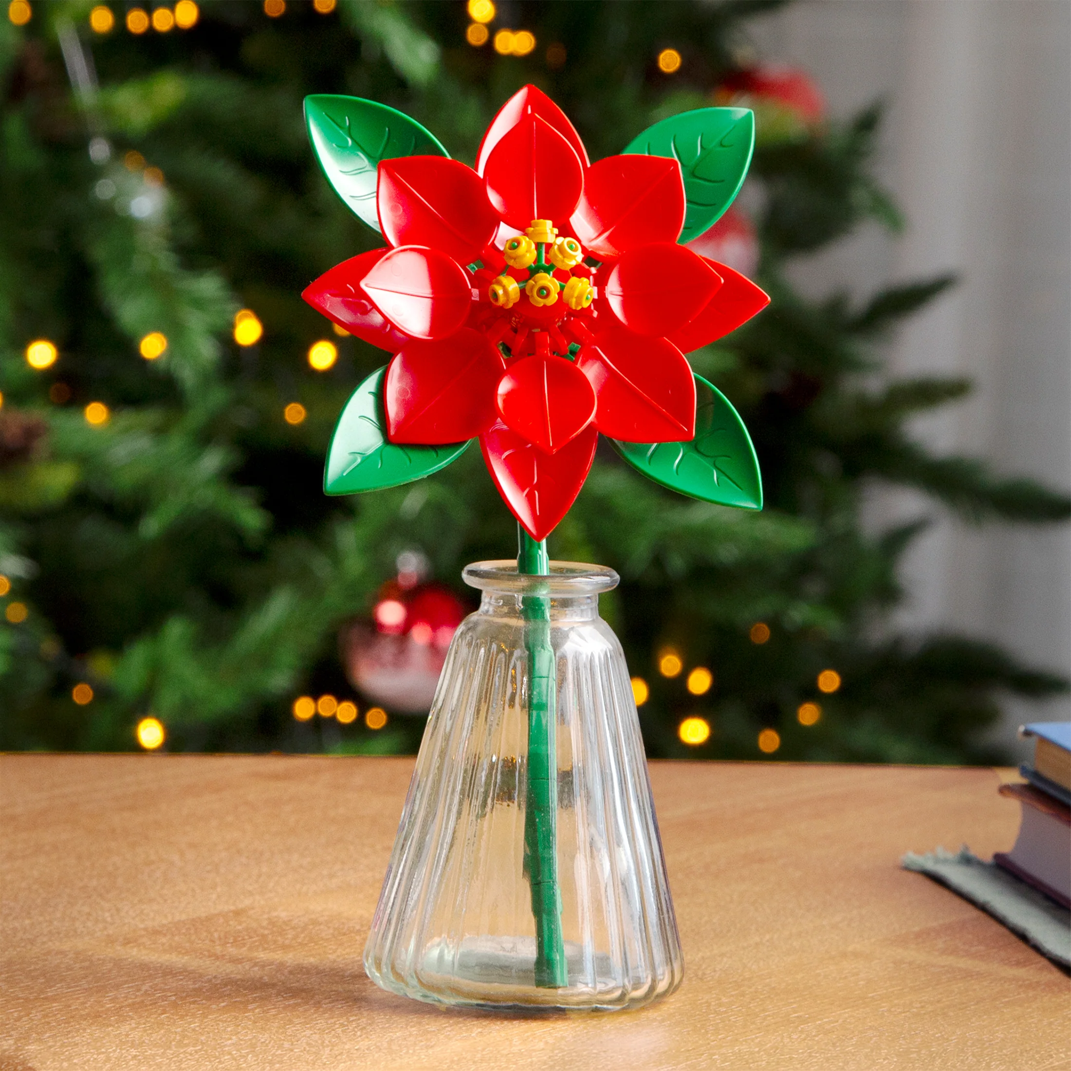 Poinsettia - Image 3