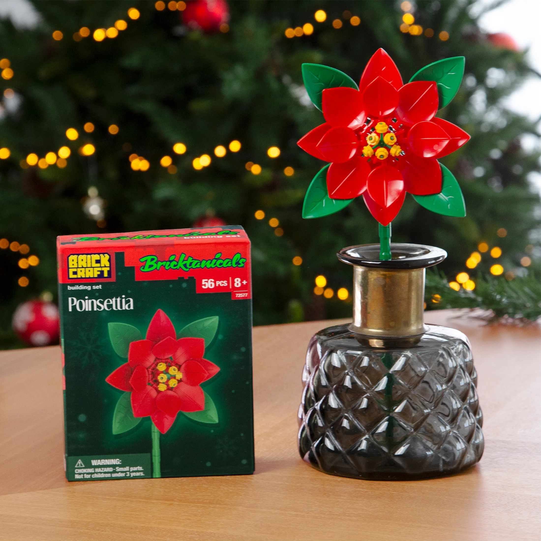 Poinsettia - Image 6