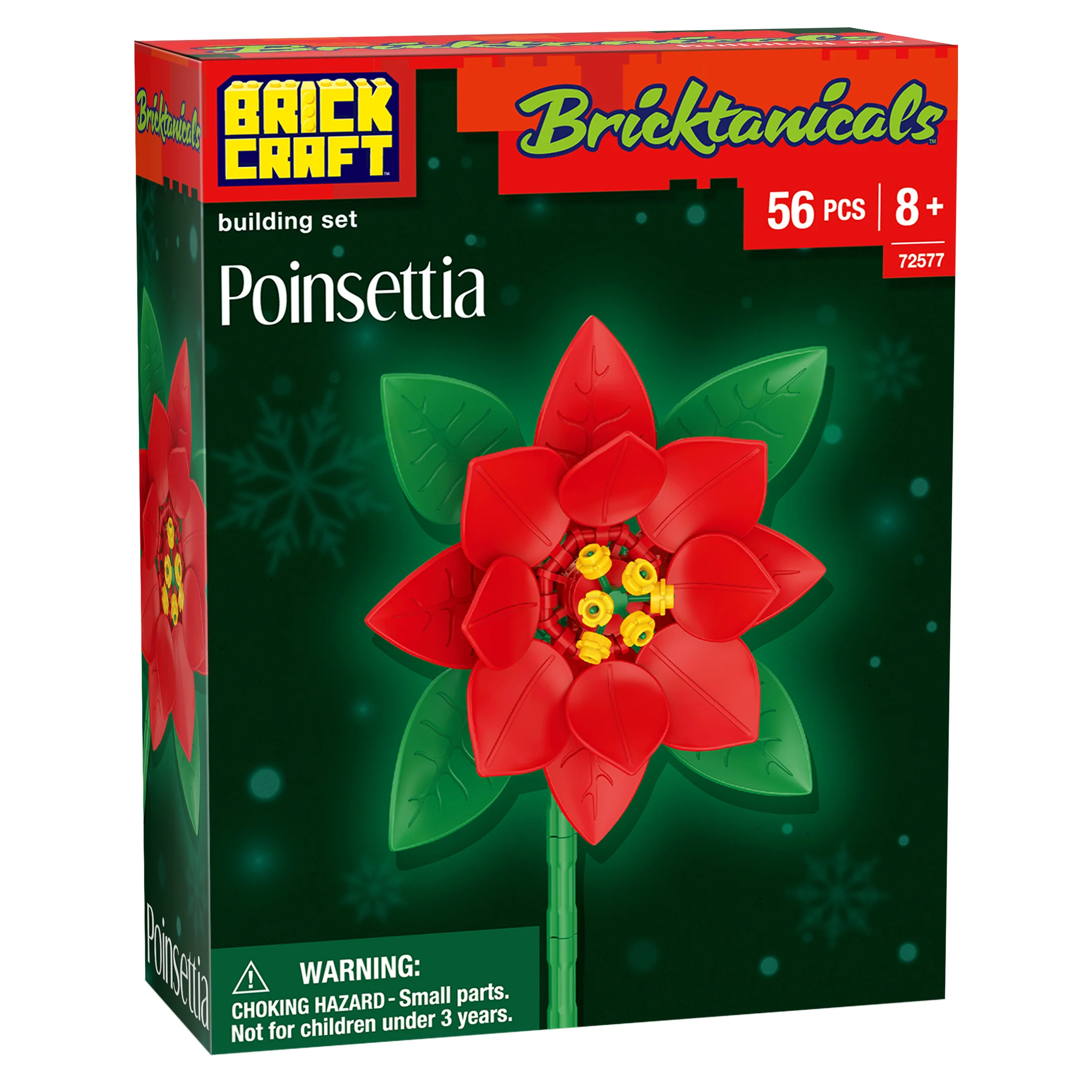 Poinsettia - Image 8