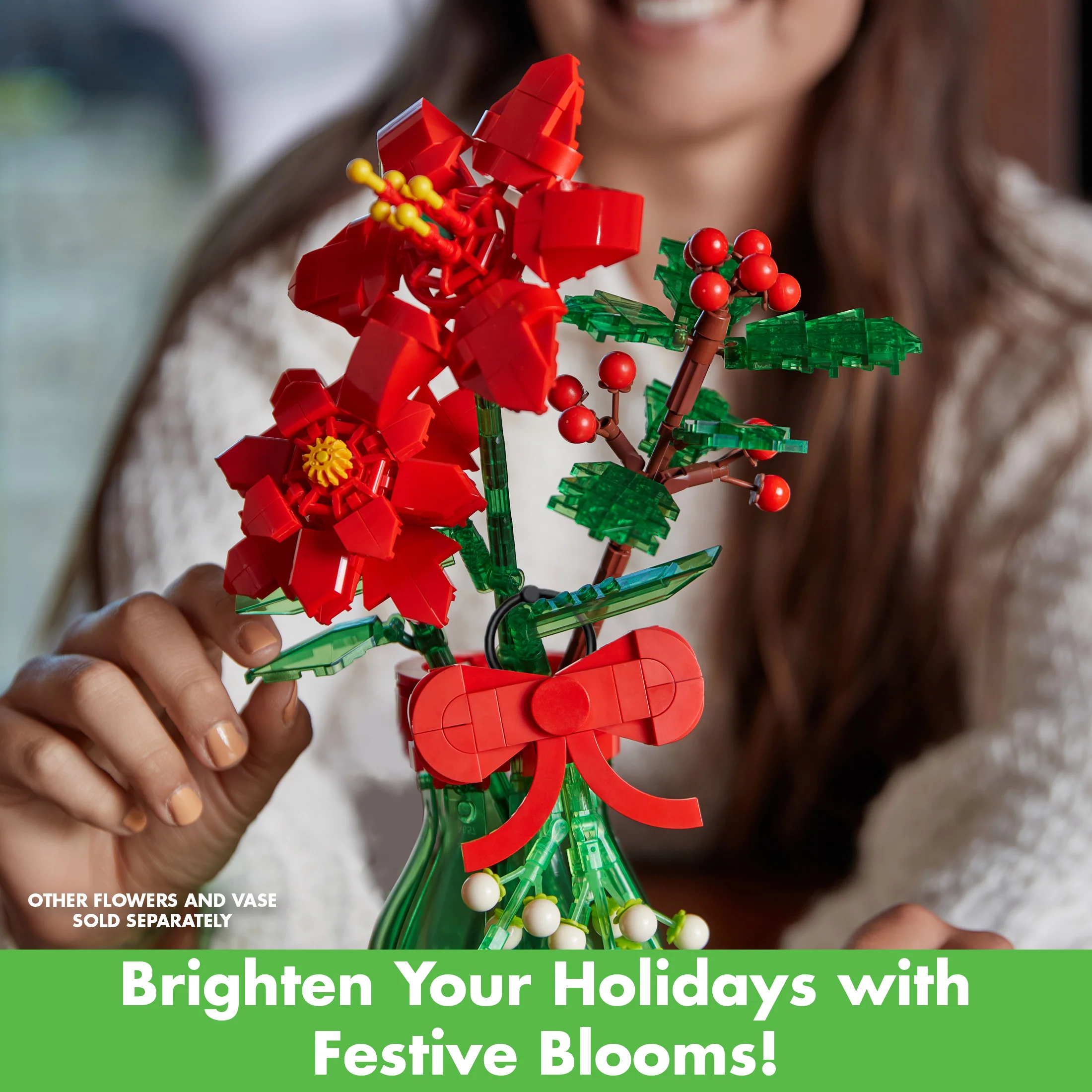Poinsettia - Image 4