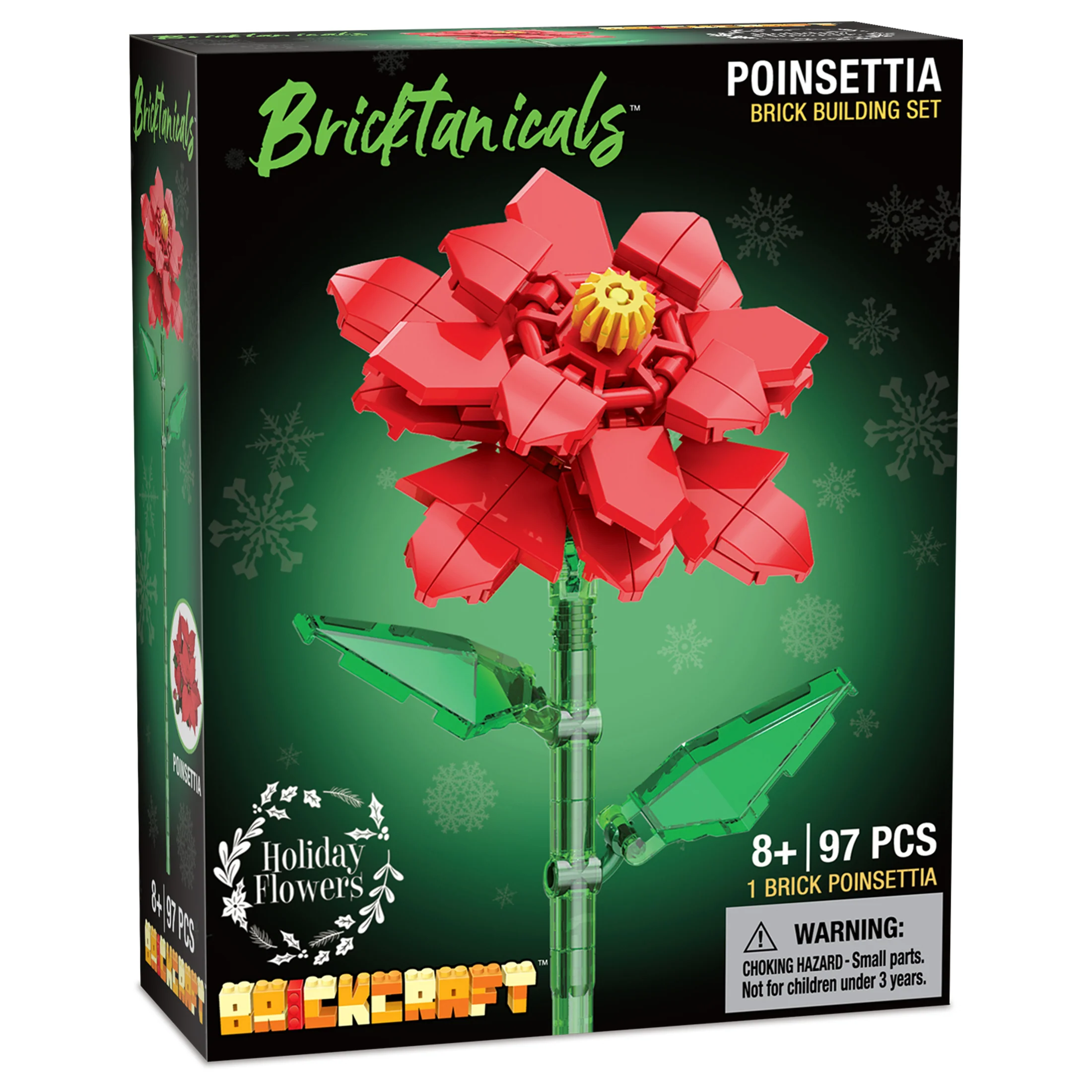 Poinsettia - Image 7