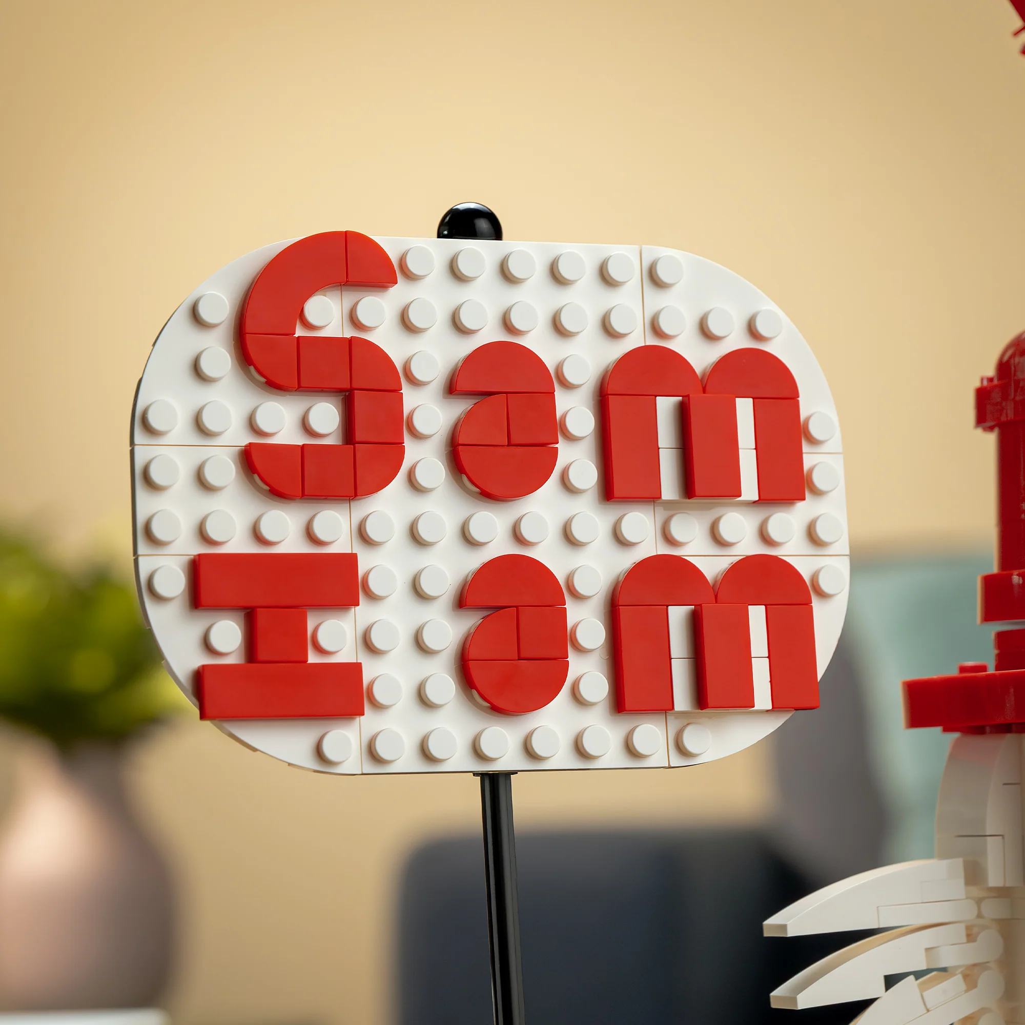 Sam I Am - Image 6