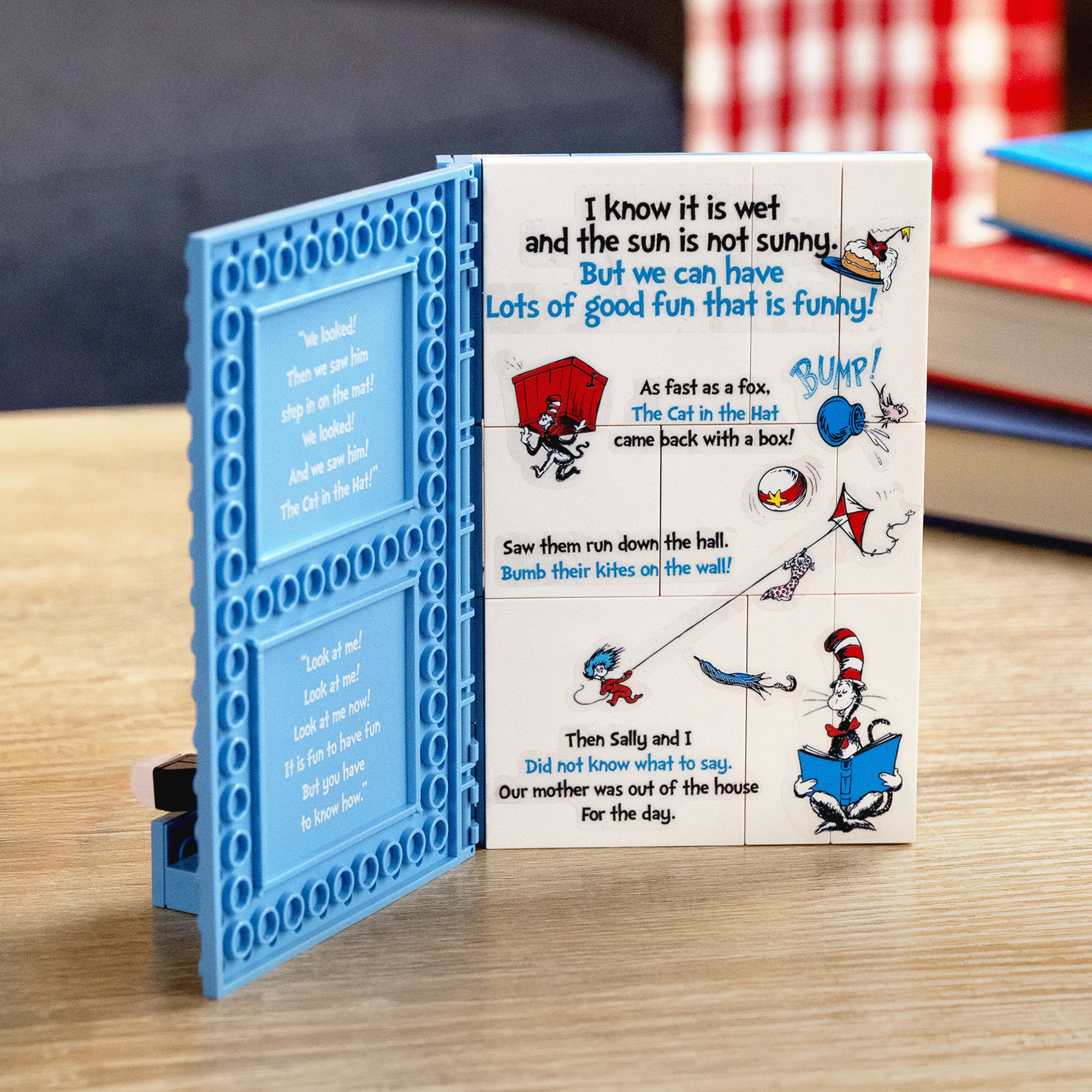 The Cat in the Hat Book - Image 6