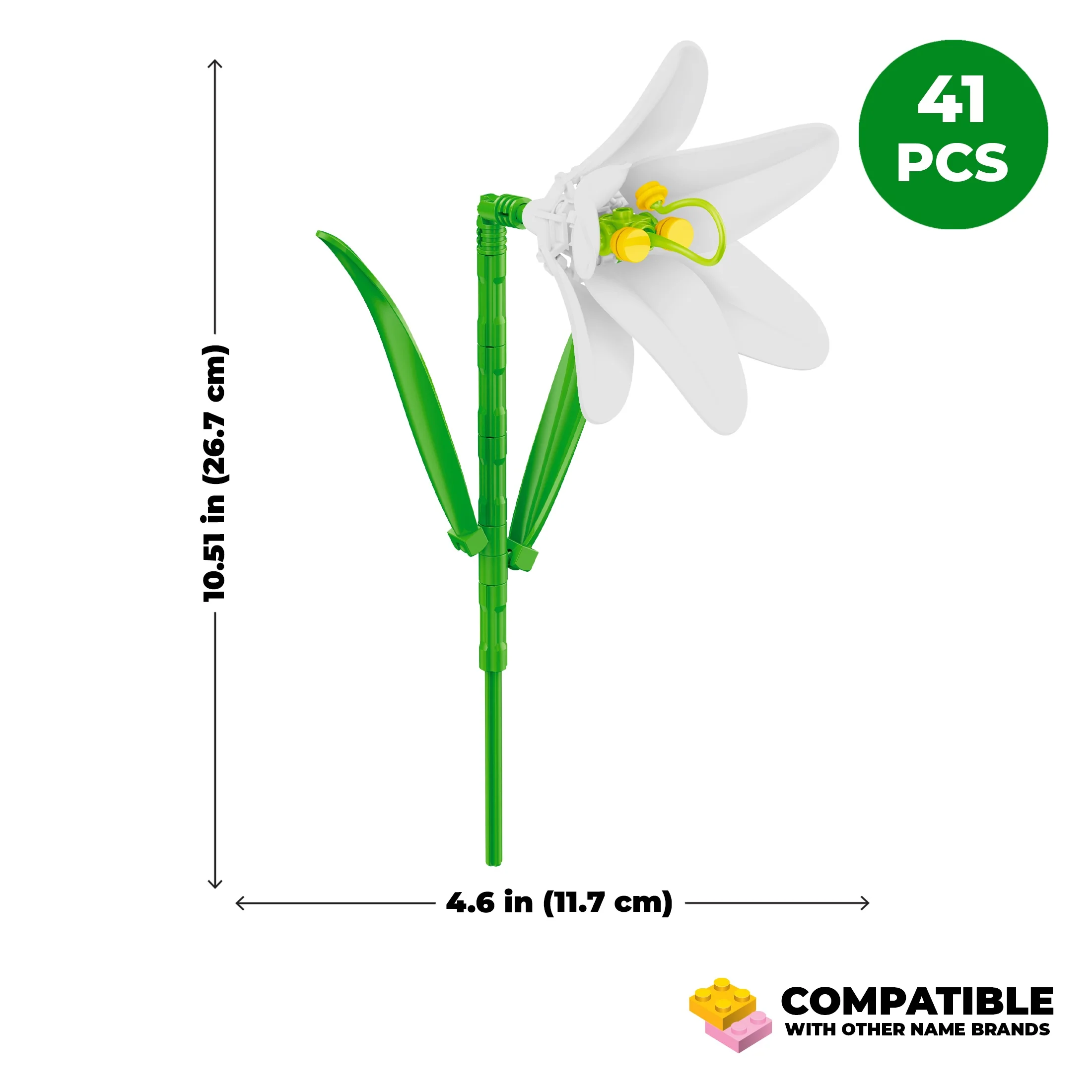 Trumpet Lilly - Image 4