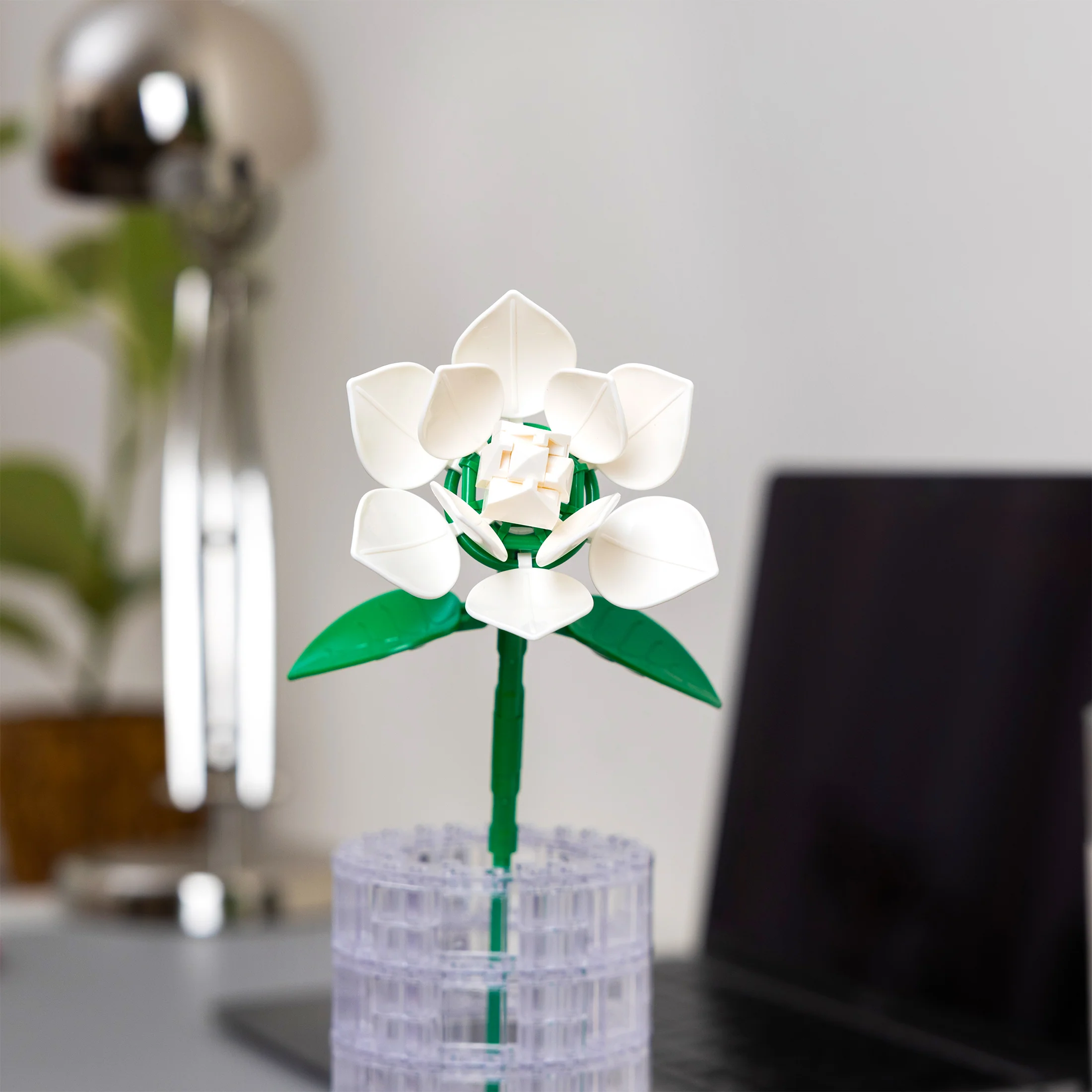 White Gardenia - Image 5